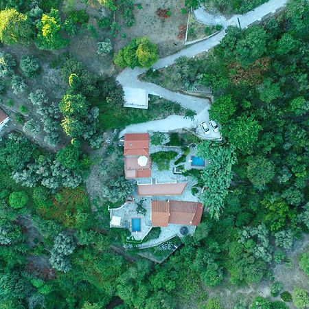Olea Skopelos Villas With Swimming Pools & Sea View Panormos  エクステリア 写真