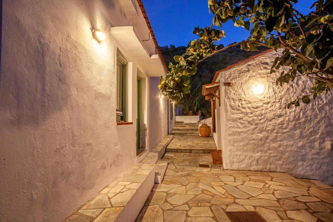 Olea Skopelos Villas With Swimming Pools & Sea View Panormos  エクステリア 写真