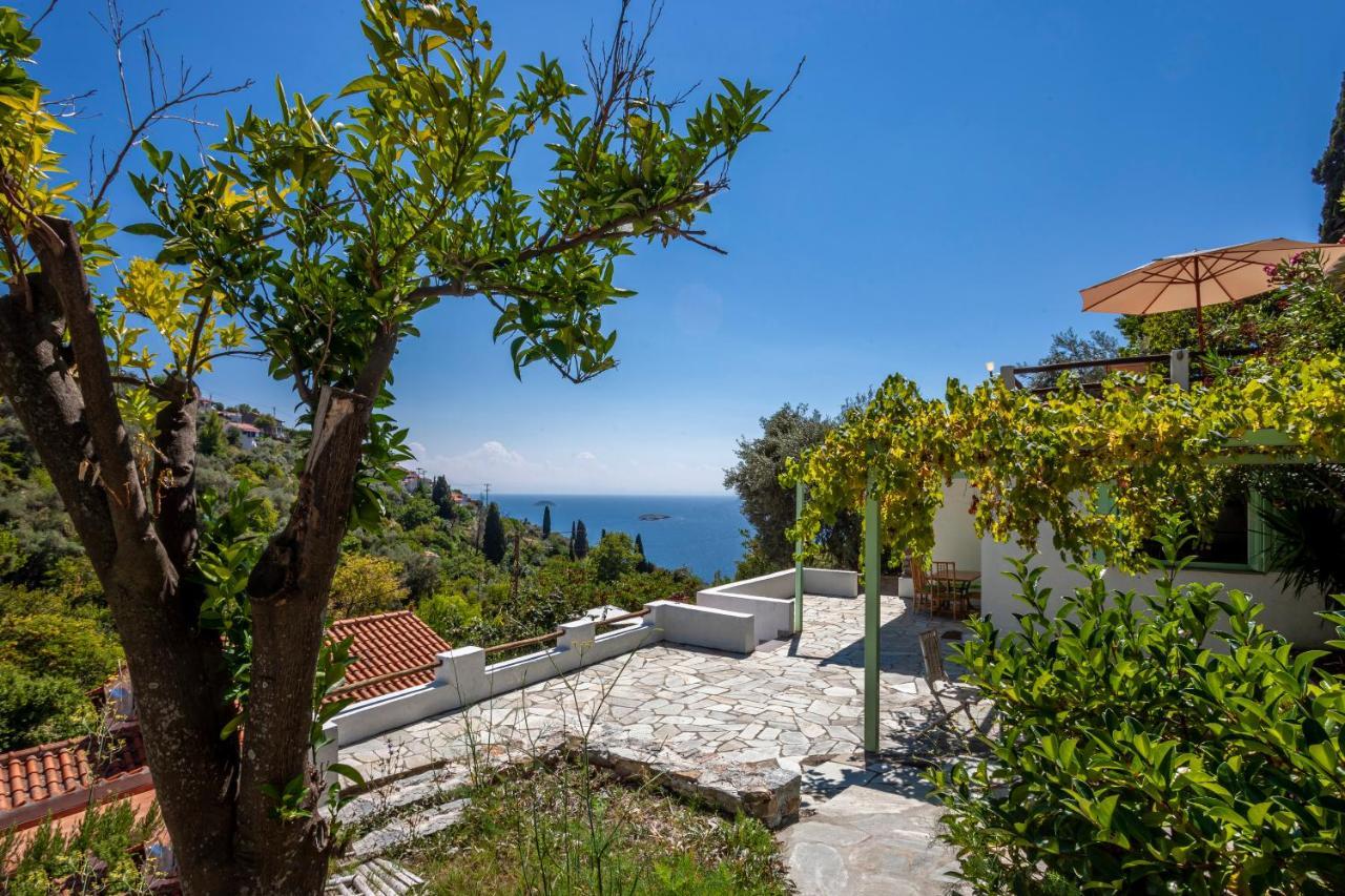 Olea Skopelos Villas With Swimming Pools & Sea View Panormos  エクステリア 写真