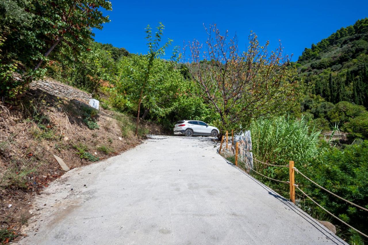 Olea Skopelos Villas With Swimming Pools & Sea View Panormos  エクステリア 写真