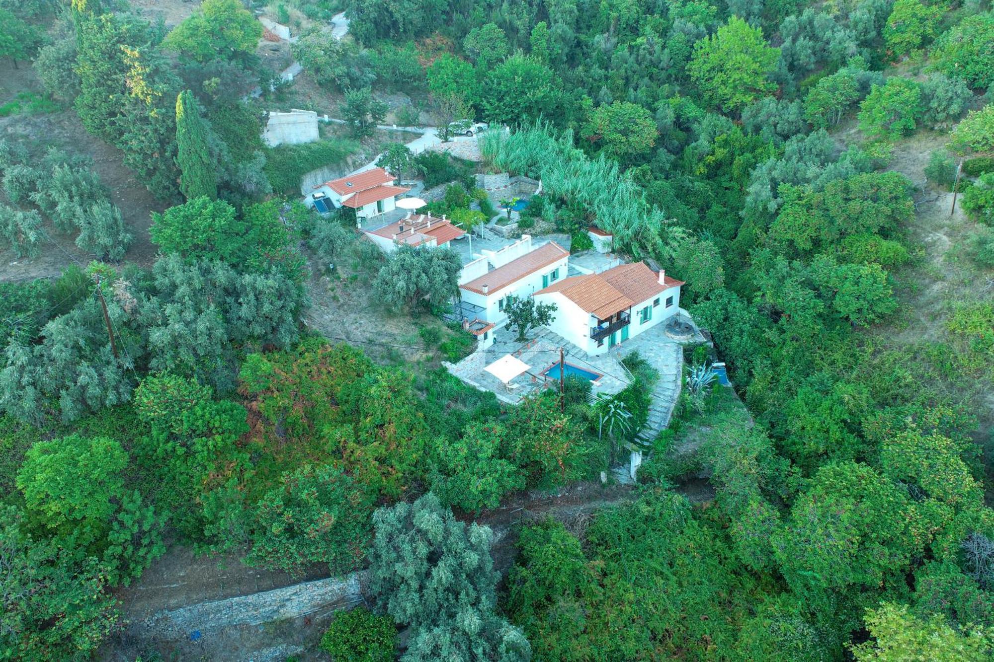 Olea Skopelos Villas With Swimming Pools & Sea View Panormos  エクステリア 写真